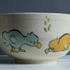 dodo rainbow bowl