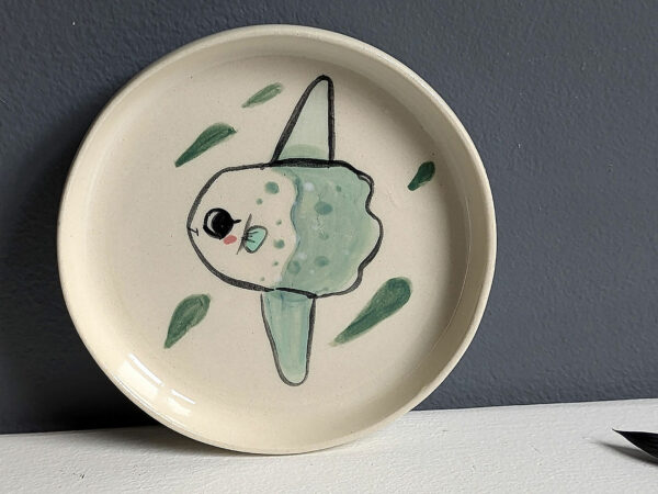 mola mola saucer