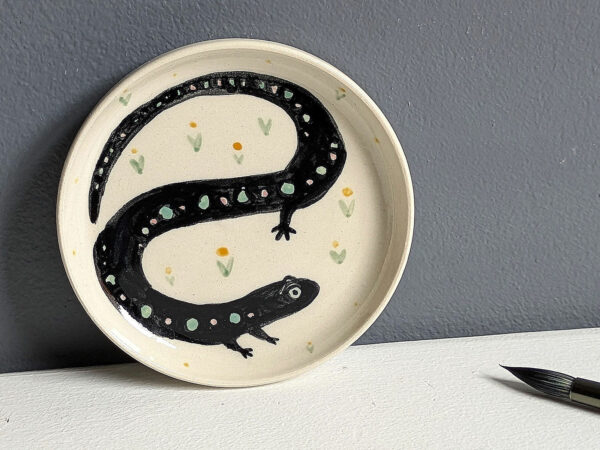 salamander saucer