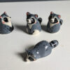 raccoon tea pets