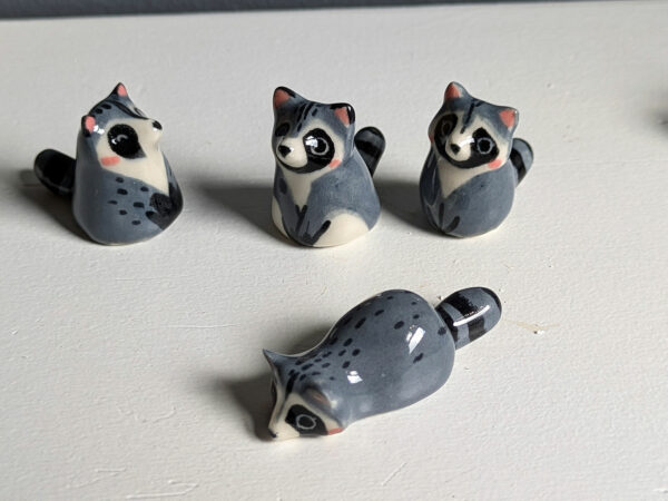 raccoon tea pets