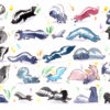 27 striped skunks watercolor