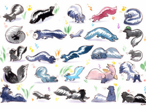 27 striped skunks watercolor