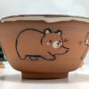 bowl bear