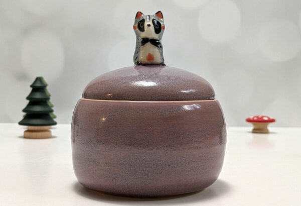 raccoon pot