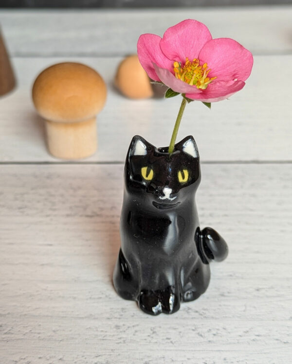 whiskers vase black cat