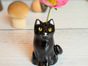 whiskers vase black cat