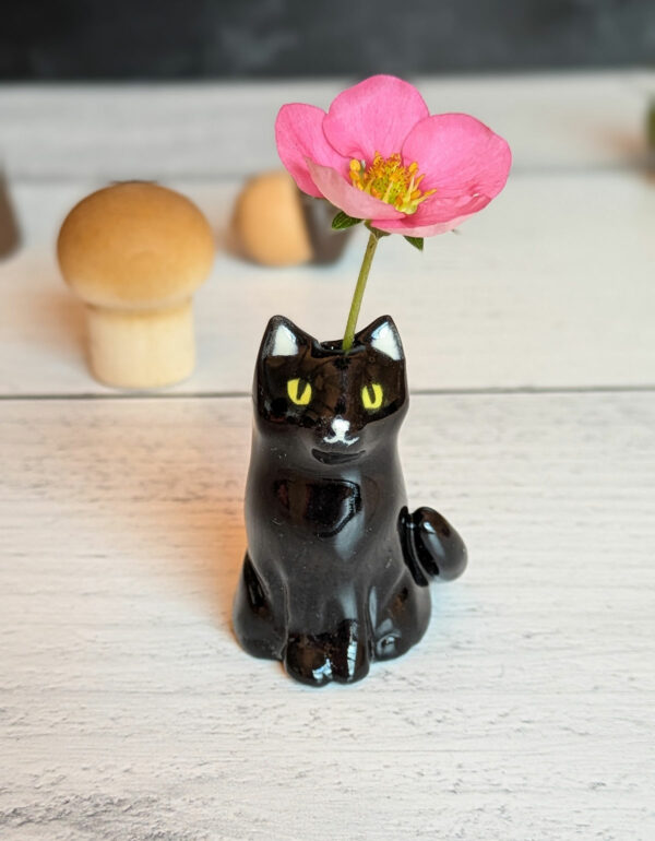 whiskers vase black cat