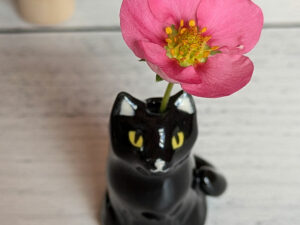 whiskers vase black cat