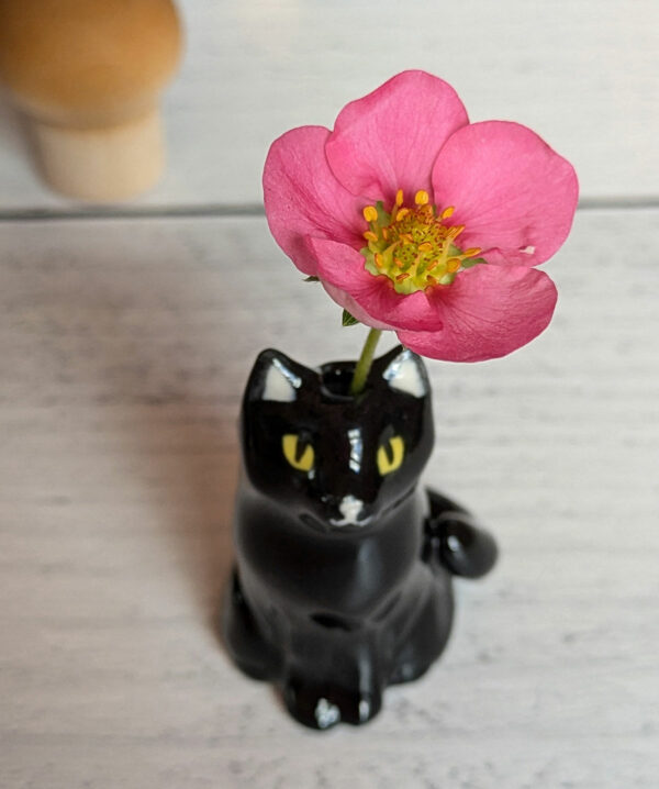 whiskers vase black cat